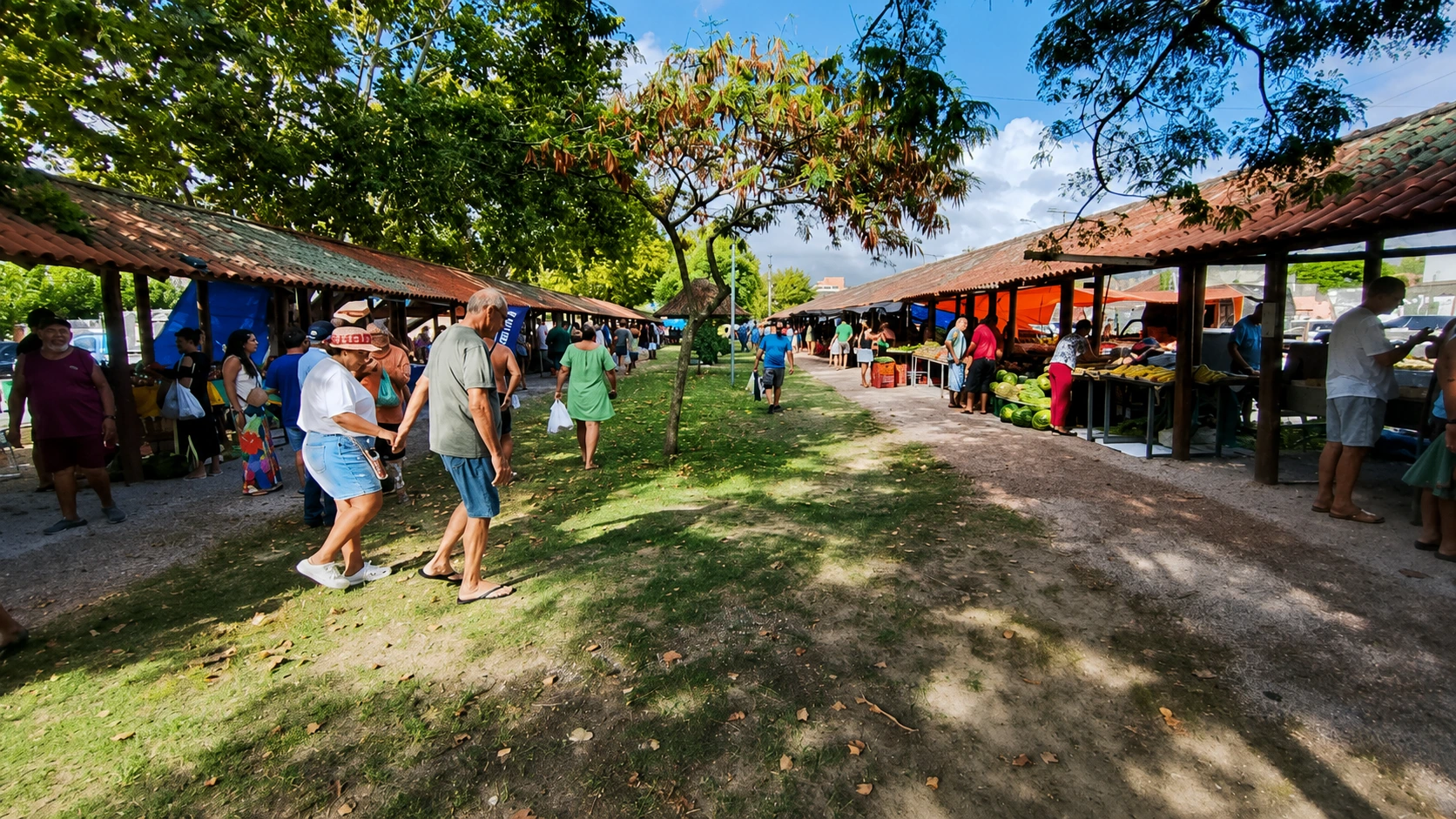 Feira do Produtor do Cassino: o que encontrar e quando visitar
